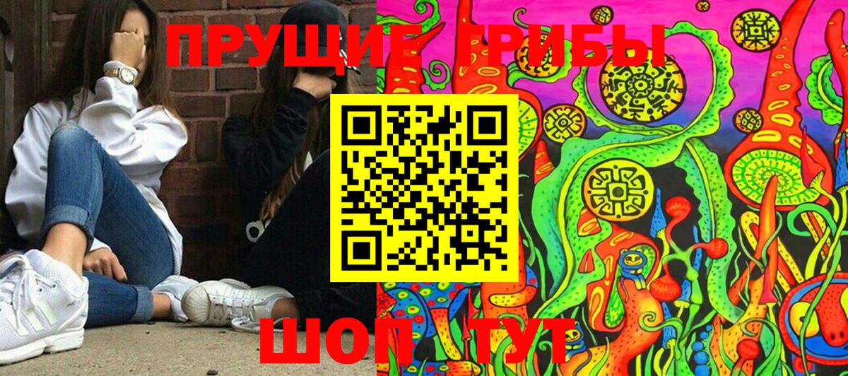 Сорочинск  Галлюциногенные грибы мицелий  наркотики  Вход с VPN 